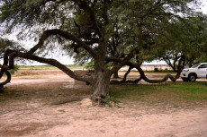 Puerto Lavalle Río Bermejito